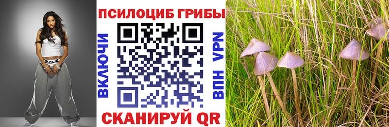 Галлюциногенные грибы Cubensis  Купить закладки  Мегион 